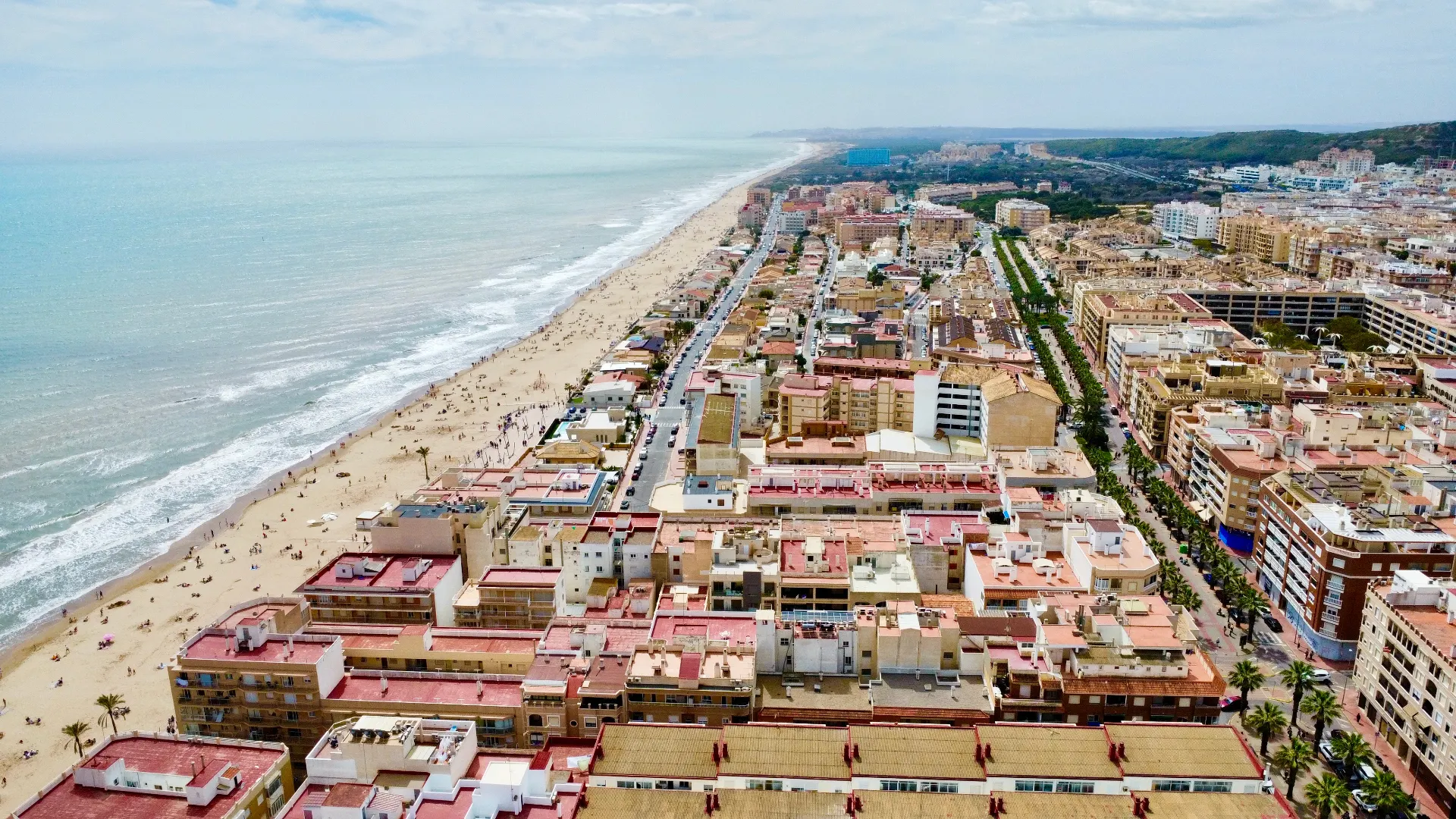 Playa Guardamar Aerea
